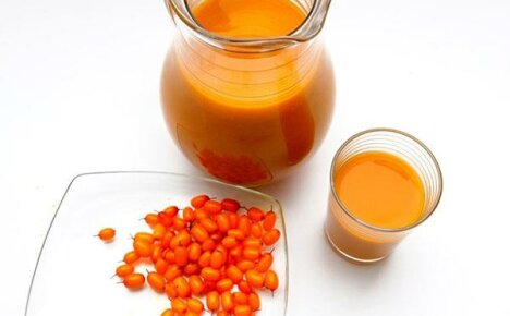 Invaluable benefits of sea buckthorn fruit drink: composition and cooking secrets