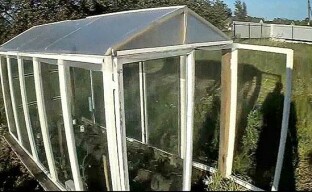 Bygga ett växthus för växter från gamla fönsterramar