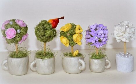 Úžasně krásný DIY topiary pro sebe a jako dárek