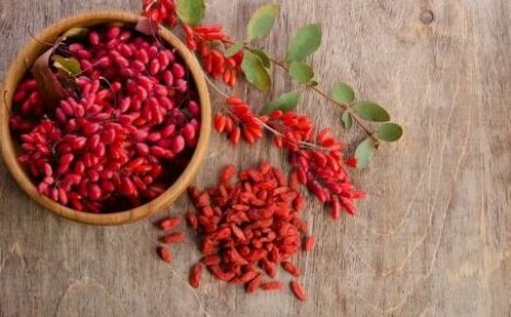 Zastosowanie berberysu w kuchni - pyszne i zdrowe jagody i nie tylko