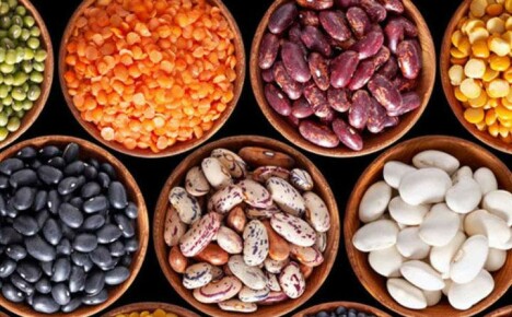 Hoe zijn peulvruchten nuttig voor het lichaam en recepten voor populaire gerechten