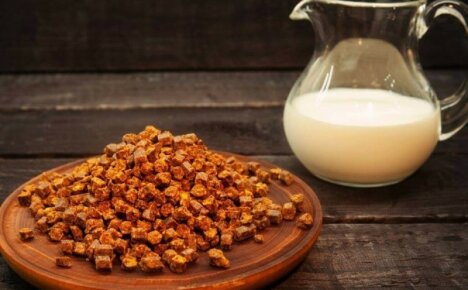 The number one remedy for colds and for immunity - milk with propolis at night
