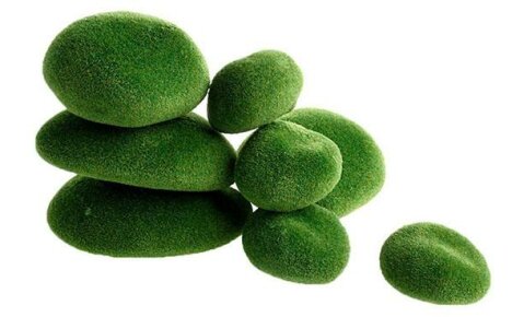 Steine ​​mit grünem Moos aus China für den Garten auswählen