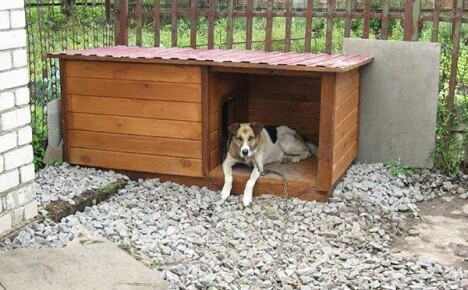 DIY köpek kulübesi