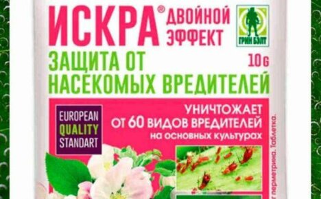 Insecticidal preparation Iskra double effect - a powerful weapon in the hands of the farmer