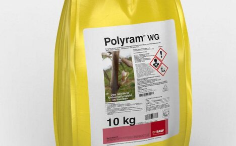 Gebruik het effectieve fungicide Poliram in de strijd om de oogst (instructies voor gebruik)