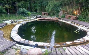 Tipy pro uspořádání bazénu na letní chatě