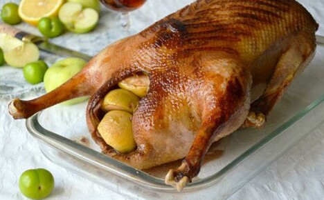 Goose with apples in the oven: 3 best recipes