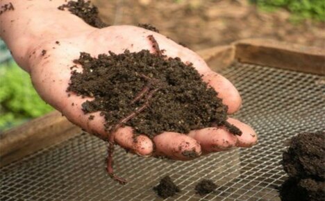 Ekologické hnojivo na biohumus - domácí výroba