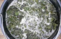 Fertilizante líquido para ervas daninhas com fermento: como preparar?
