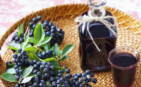 Alcohol can also be useful - recipe for chokeberry tincture on vodka