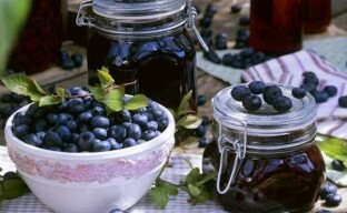 Høstning af blåbær til vinteren - hvordan man laver lagre af sunde bær