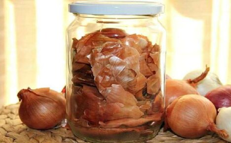 Onion husks in folk medicine - useful properties of medicinal kitchen waste