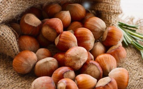 Proč jsou lískové ořechy užitečné a jak je správně používat pro vaše zdraví