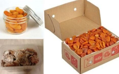 Víte, jak skladovat sušené meruňky doma?