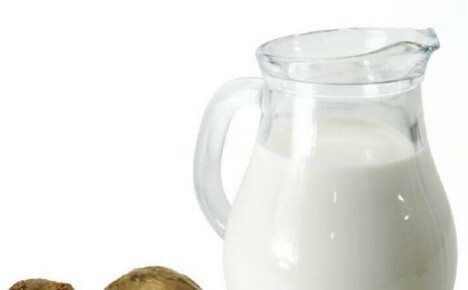 Gebruik propolis met melk om uw immuniteit te versterken