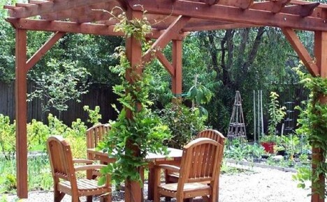 Dekorera trädgården med en pergola med egna händer