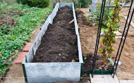 We increase the yield of vegetable crops with warm beds