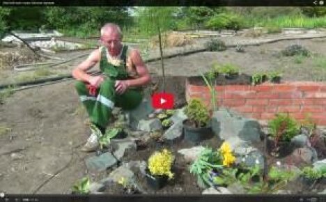 Wie man Steingarten macht (Video)