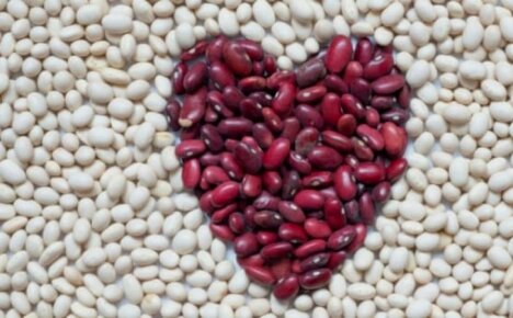 Zistenie podrobností - ktoré fazule sú zdravšie, biele alebo červené