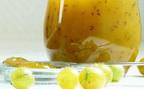 Portakal ile lezzetli bektaşi üzümü jölesi yapmanın sırları