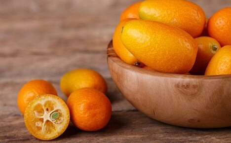 What is the kumquat fruit and what is its benefit to the body