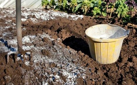 Hoe en waarom wordt de grond in de bedden en in de tuin gekalkt