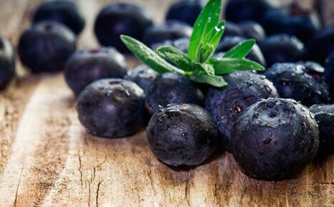 Замразени боровинки: полезни свойства и техники за замразяване на плодове