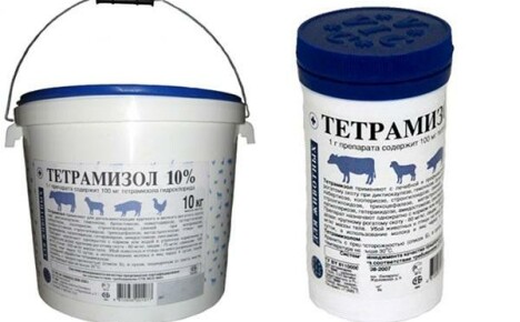 Instructies voor het gebruik van Tetramisol 10: kenmerken van gebruik voor elk dier