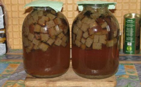 How to make kvass from crackers - the secrets of a delicious homemade drink