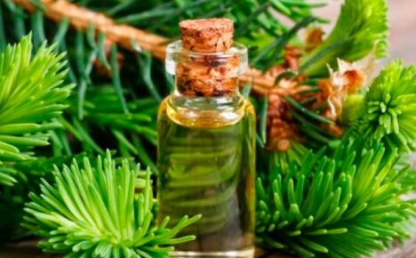 Čím je borový olej jedinečný - vlastnosti a použití přírodního antiseptika