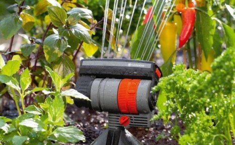 Как да изберем пръскачки за поливане на вашата градина - съвети и трикове
