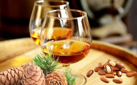 It will completely replace cognac on the festive table - vodka on pine nuts, recipe