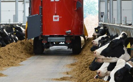 Was sind die Futterautomaten für Rinderfarmen und wie wählen Sie das richtige Modell für Ihre Farm aus?