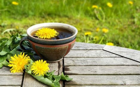 What are the benefits of drinking dandelion tea?