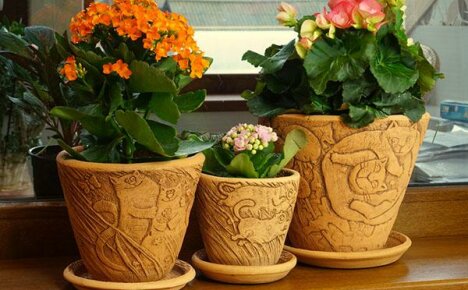 Pots de fleurs en différents matériaux et tailles
