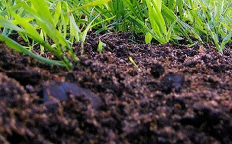 يعتبر الدبال العامل الرئيسي في خصوبة أنواع التربة المختلفة