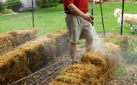 Efektivní využití slámy v zahradě pro bohatou sklizeň