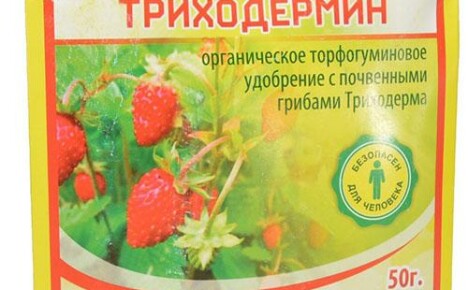 Produs biologic Tricodermină împotriva bolilor plantelor