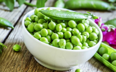Low in calories, high in protein - hearty peas, benefits and harms to the body
