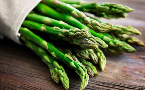 Cos'è l'asparago, come cresce e a cosa serve