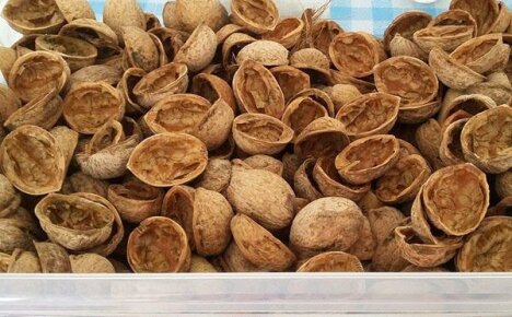 Ořechové skořápky: použití v tradiční medicíně, na zahradě a na farmě