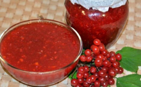 Lecker und gesund - Viburnum-Marmelade für den Winter vorbereiten