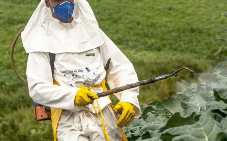 Dangerous effects of pesticides on the human body and ways to solve the problem