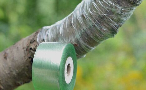 Tree grafting tape - benefits and key features