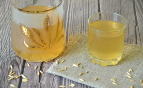 Infusion of oats - the benefits and harms, reviews of the miraculous drink