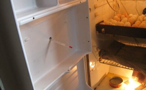 Buzdolabından DIY inkübatör: iki basit model artı bir bonus - otomatik inkübatör hakkında video