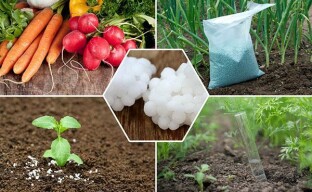 Minerální hnojivo močovina - třetí ruka farmáře
