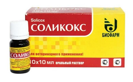 Solikox para aves: instruções de uso do medicamento