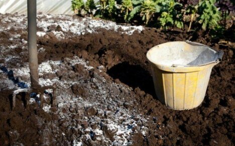 Ограничаване на почвата през есента - степен на нанасяне в зависимост от използваното вещество